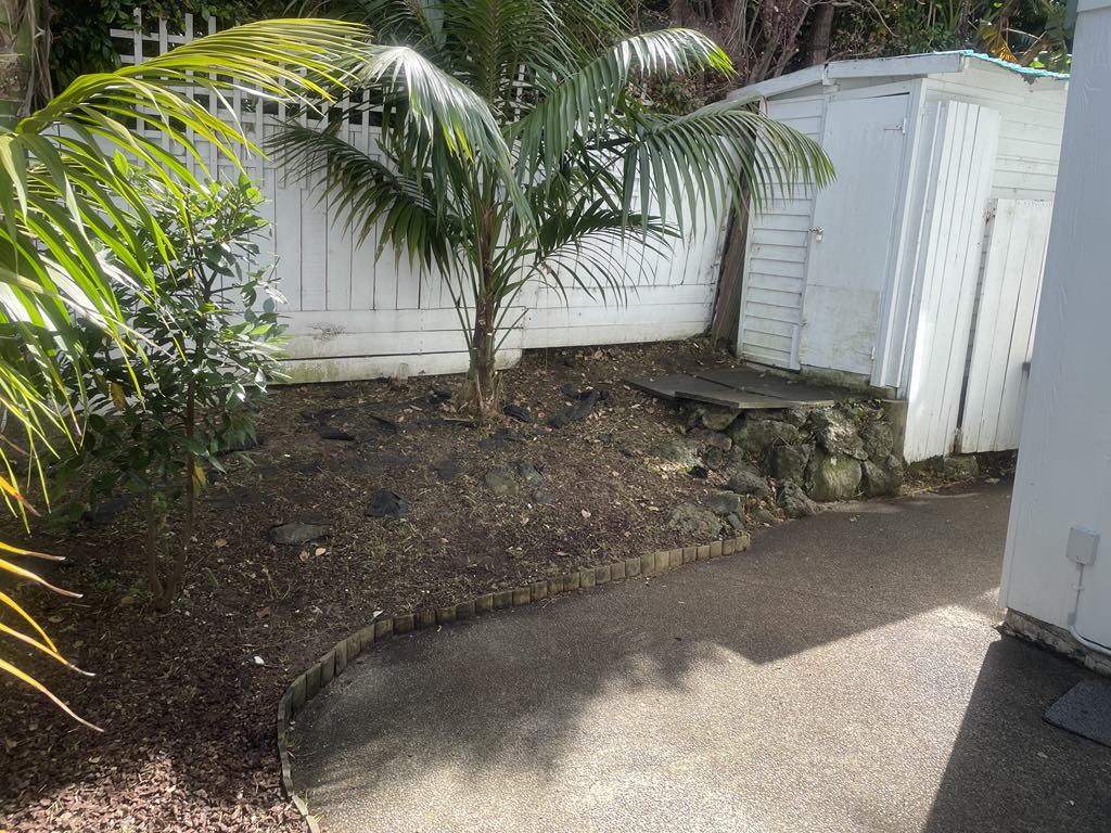 Auckland Garden Tidy Up