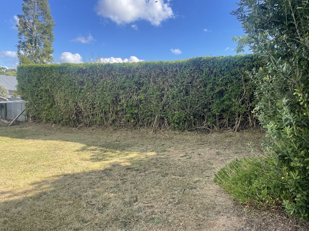 Auckland Hedge Trimming