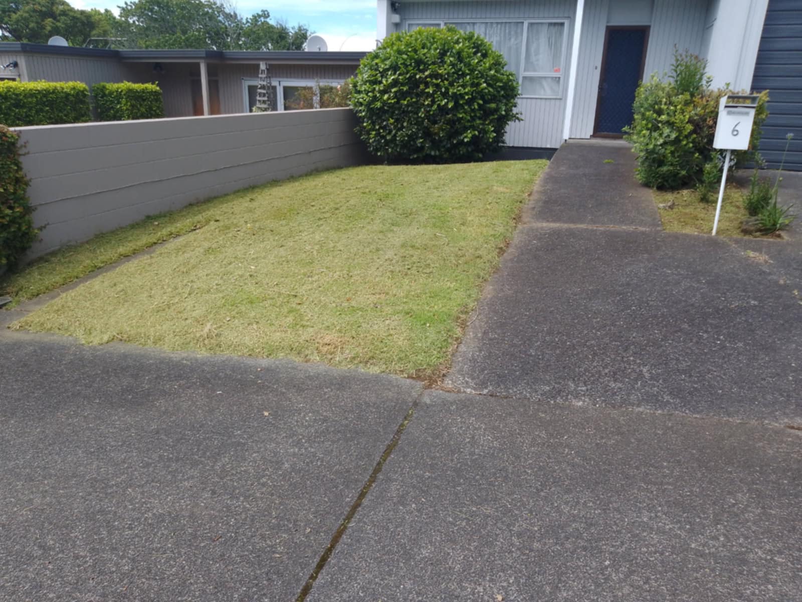 Auckland Lawn Mowing Contractor