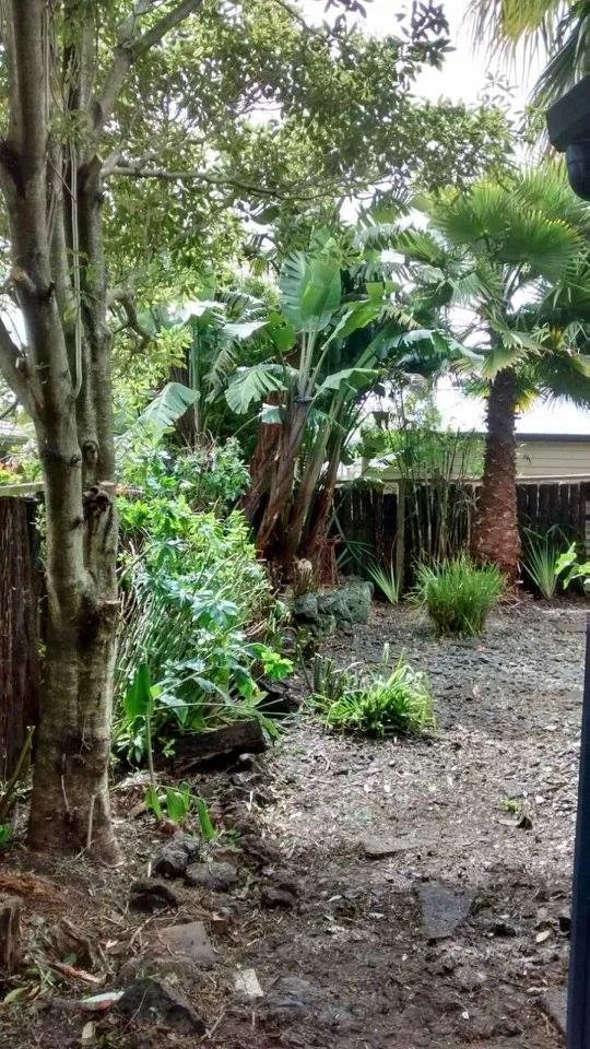 Garden Clean Up Auckland