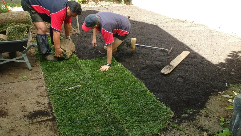 Laying New Lawn