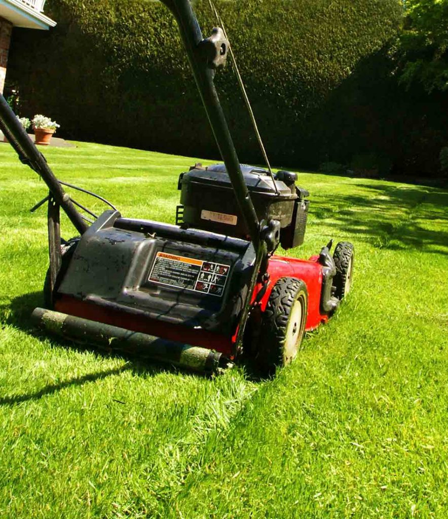 Auckland Lawn Mowing